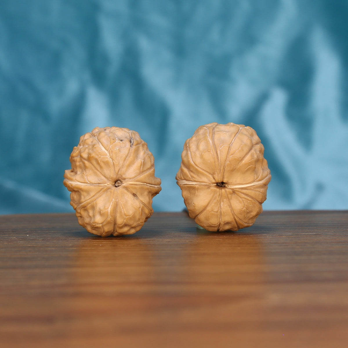 Gui-Jia-Wen walnut pair bottom view on wood – natural tortoise shell base pattern, Carapace Crest Spheres premium set