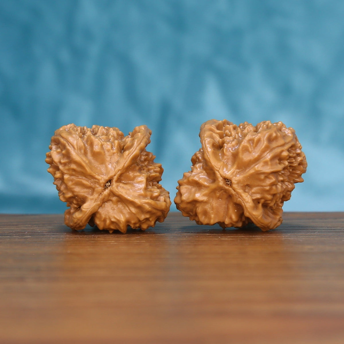 Back view of two Qinhuangdao Wenwan walnuts showing distinct natural shell details
