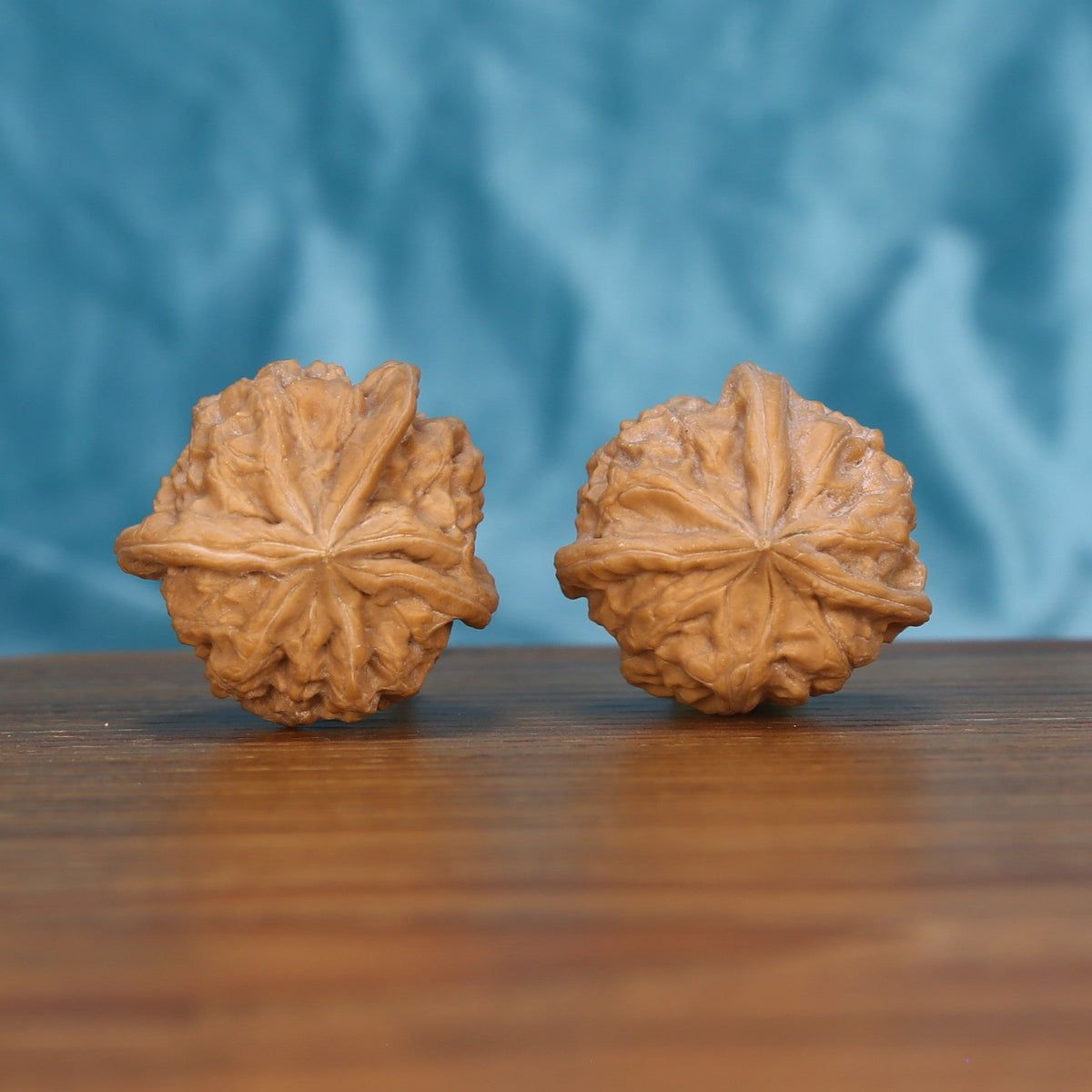 Single Qi-Da-Hai San-Leng wenwan walnut on wooden surface, blue background – bold tri-star natural texture close-up