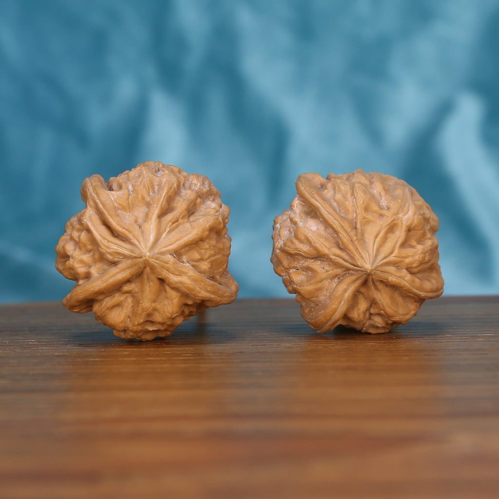 Qi-Da-Hai San-Leng wenwan walnut pair alternate angle, blue background – symmetrical tri-star geometry ridge pattern