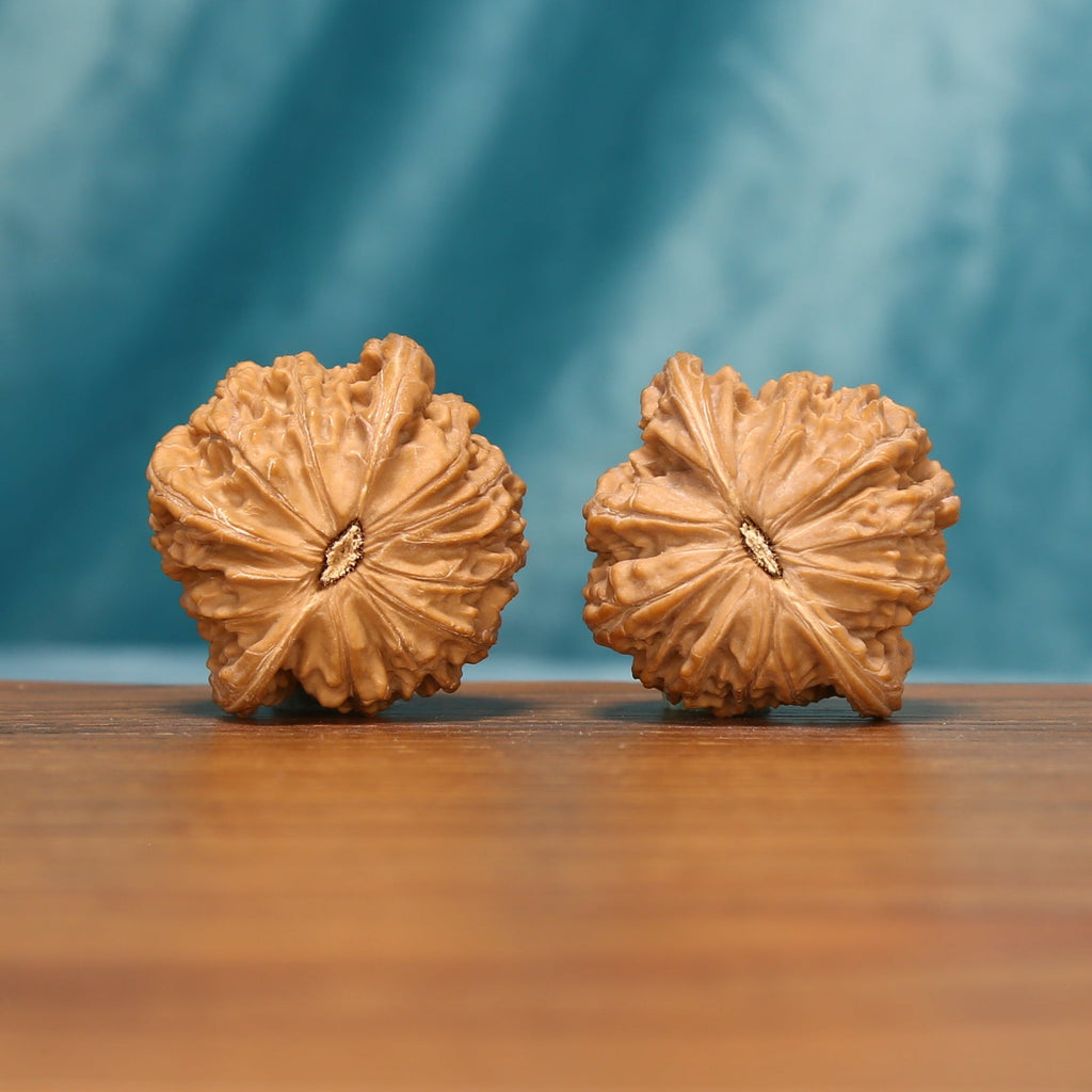 Bottom view of the Carved Millstones Wenwan walnut pair showing the star-like natural contours
