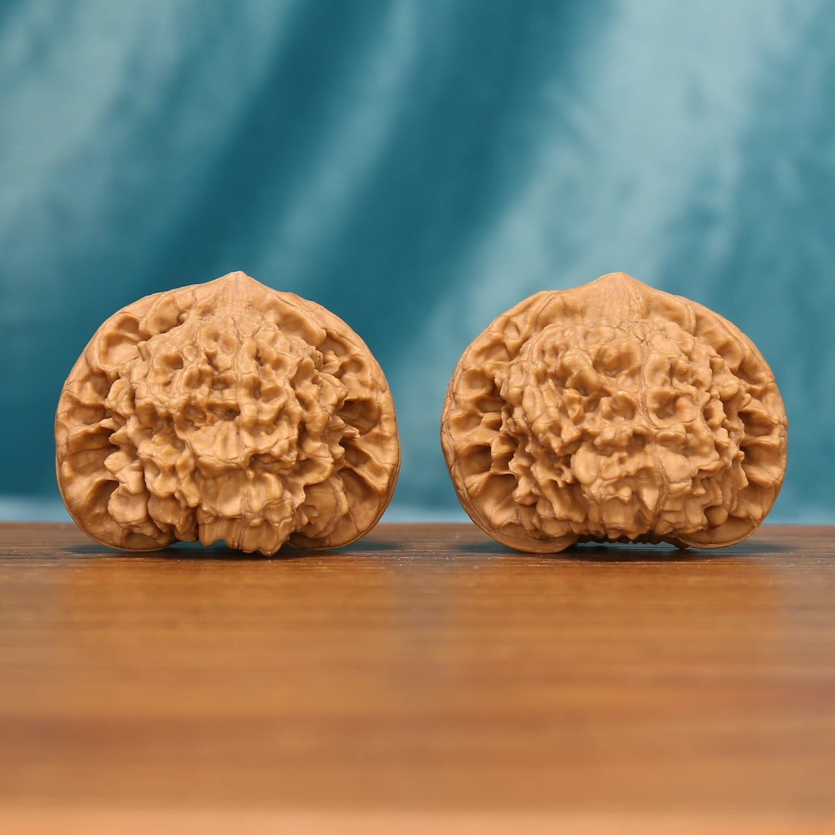 Angled front view of The Capstone Pair Wenwan walnuts highlighting their broad shapes and dense natural texture.
