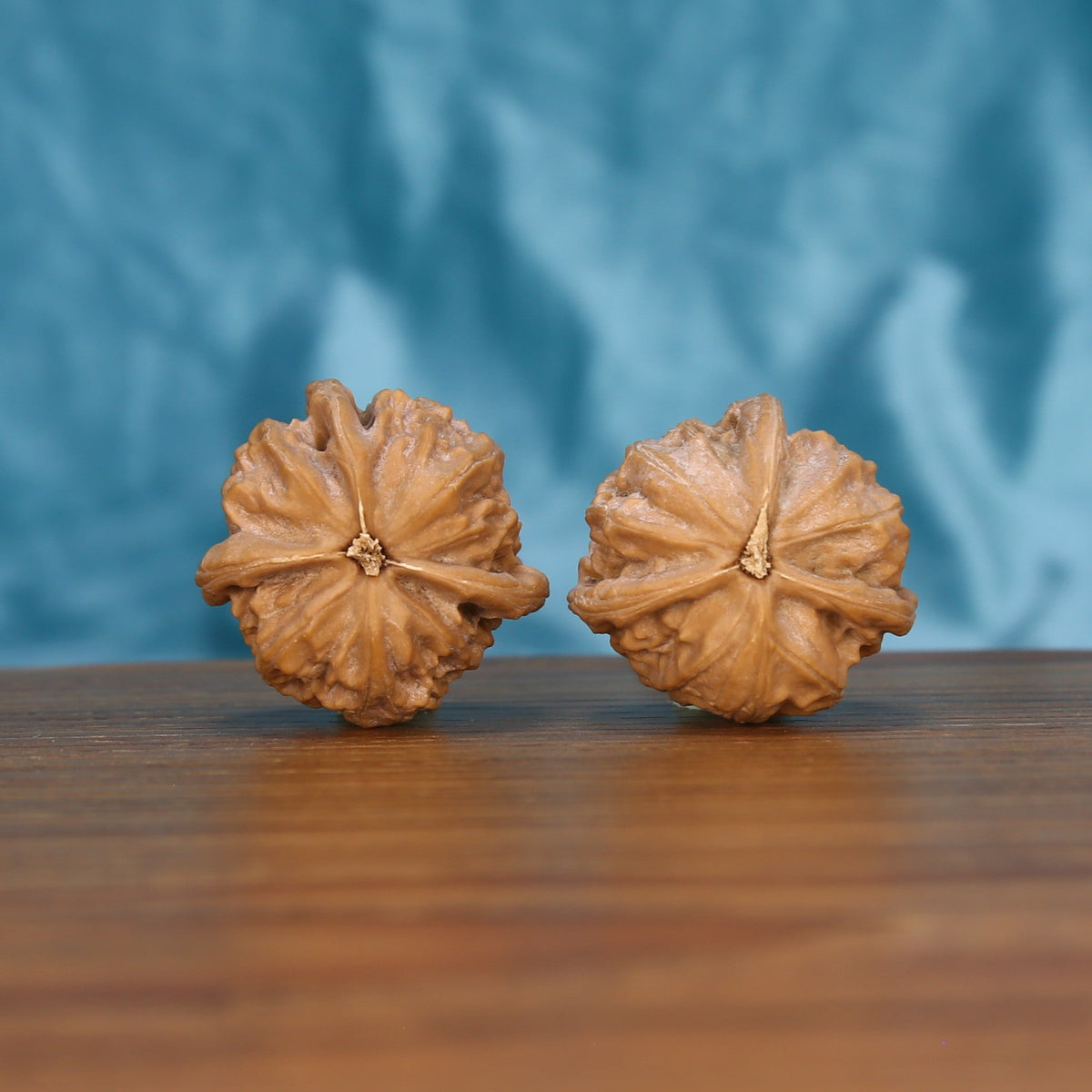 Qi-Da-Hai San-Leng walnut pair bottom view on wood – natural tri-star base pattern, Tri-Star Geometry premium set
