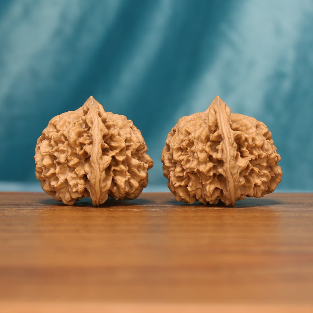 Side view of The Capstone Pair Wenwan Walnut Set showing the walnuts’ capped profiles and pronounced ridge patterns.
