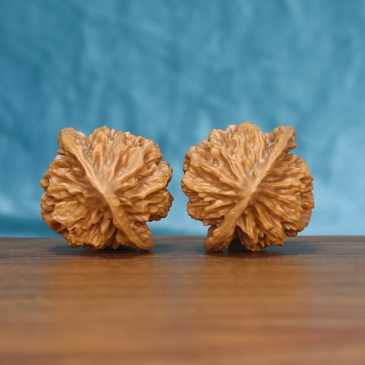 Side profile of the 6115 Emperor wenwan walnut pair showing the raised central ridge and winged edges
