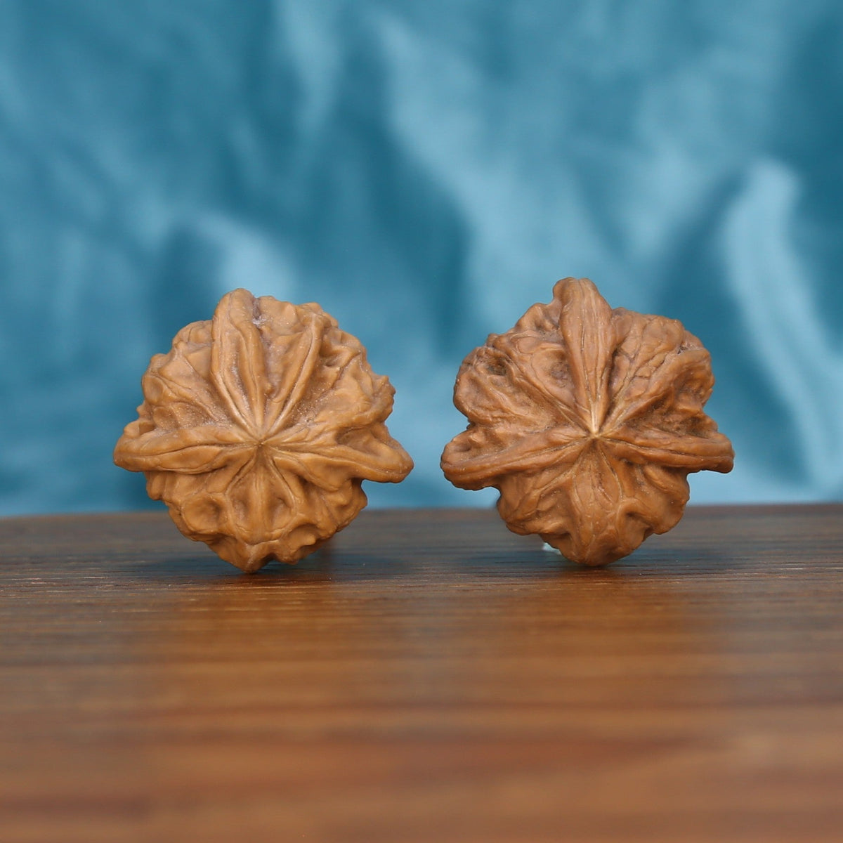 Qi-Da-Hai Si-Leng walnut set side profile on wood, blue background – four-ridge geometric grain detail