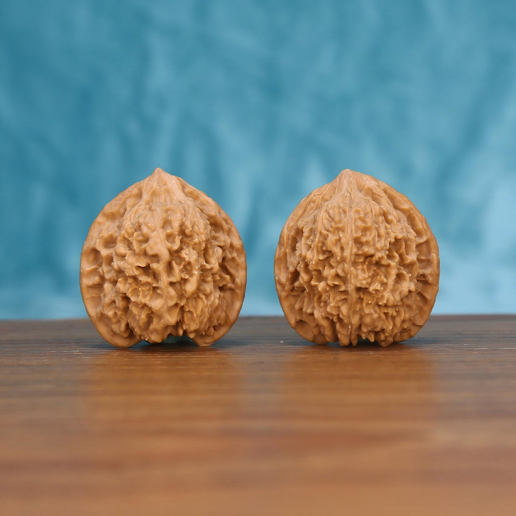 W7586 Starry Crest walnut duo front view – dense clustered ridges and full palm anchoring form
