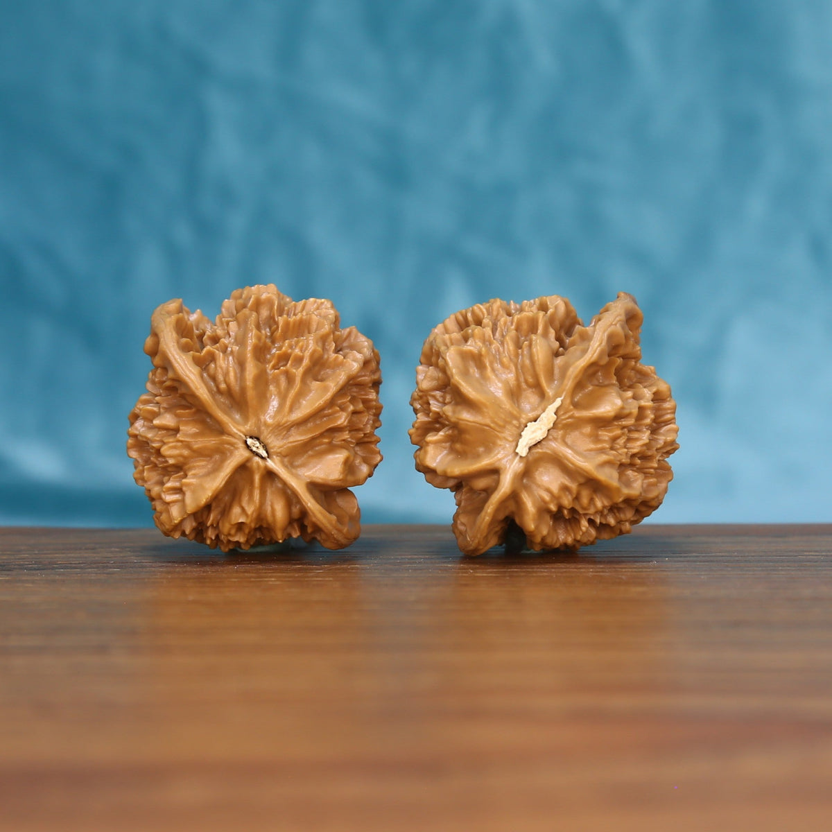 Top view of the Emperor wenwan walnut pair 6115, showing the star-shaped ridged crown of each walnut
