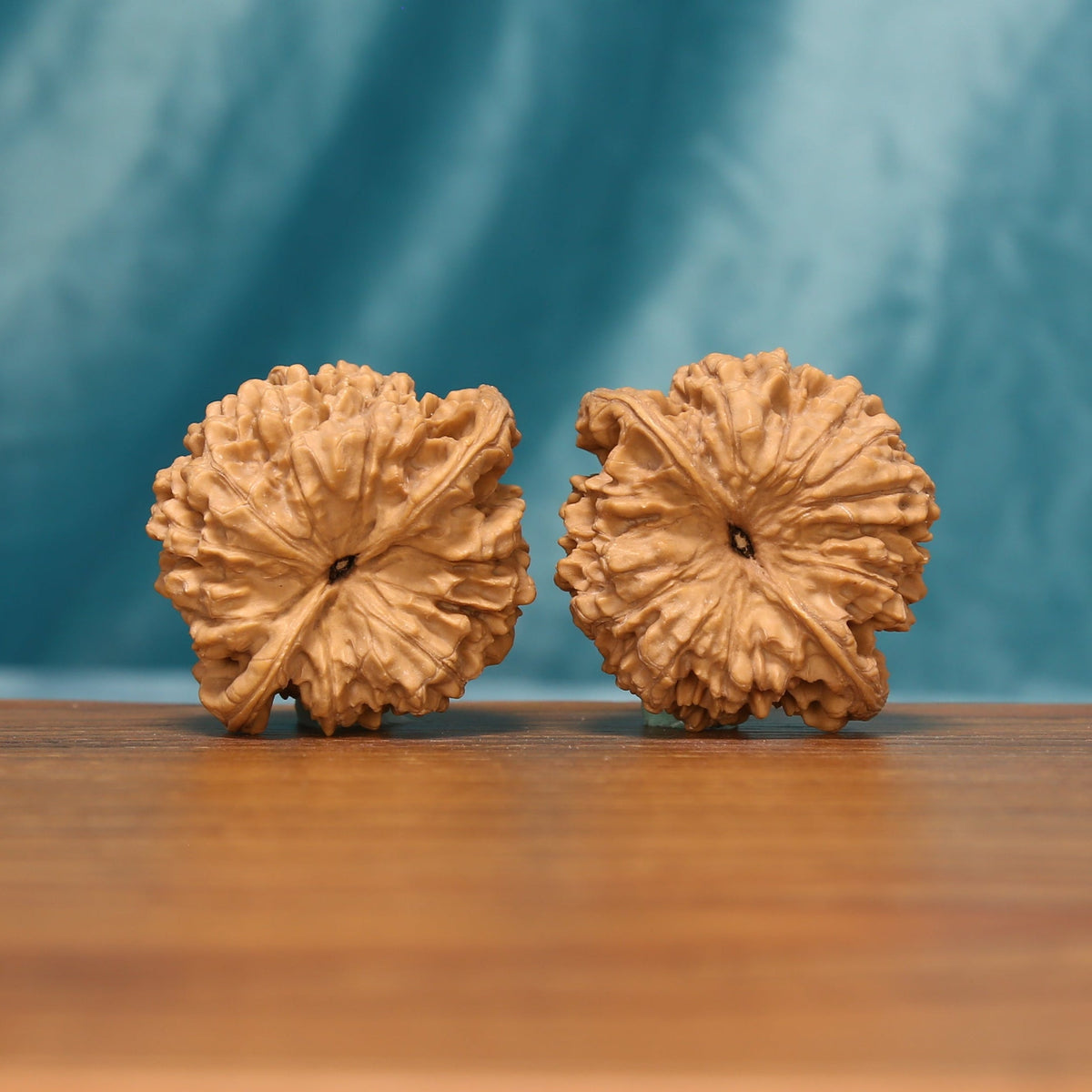 Bottom view of The Capstone Pair Wenwan walnuts showing their textured bases and distinctive radial ridges.
