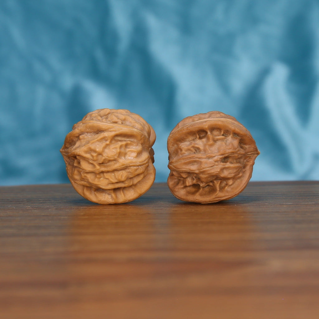 Single Qi-Da-Hai San-Leng wenwan walnut bottom view on wooden surface – natural base and three-ridge texture detail