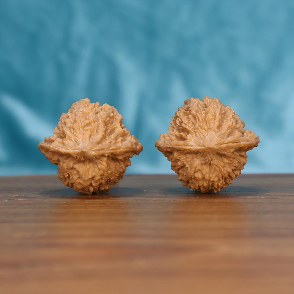 Man-Tian-Xing walnut pair on wooden surface – 16g raw botanical artifacts for screen fatigue relief

