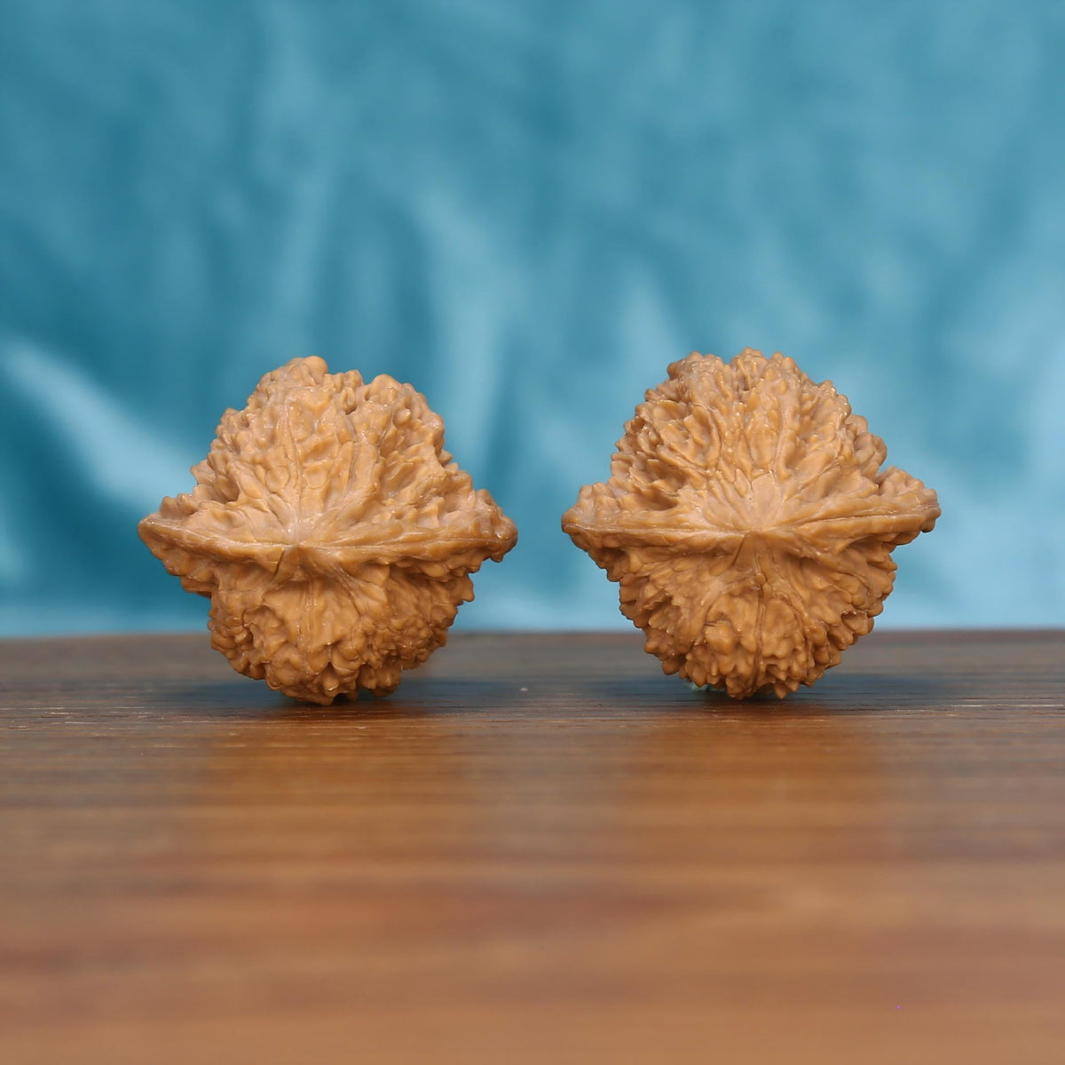 Man-Tian-Xing walnut pair on wooden surface – 16g raw botanical artifacts for screen fatigue relief
