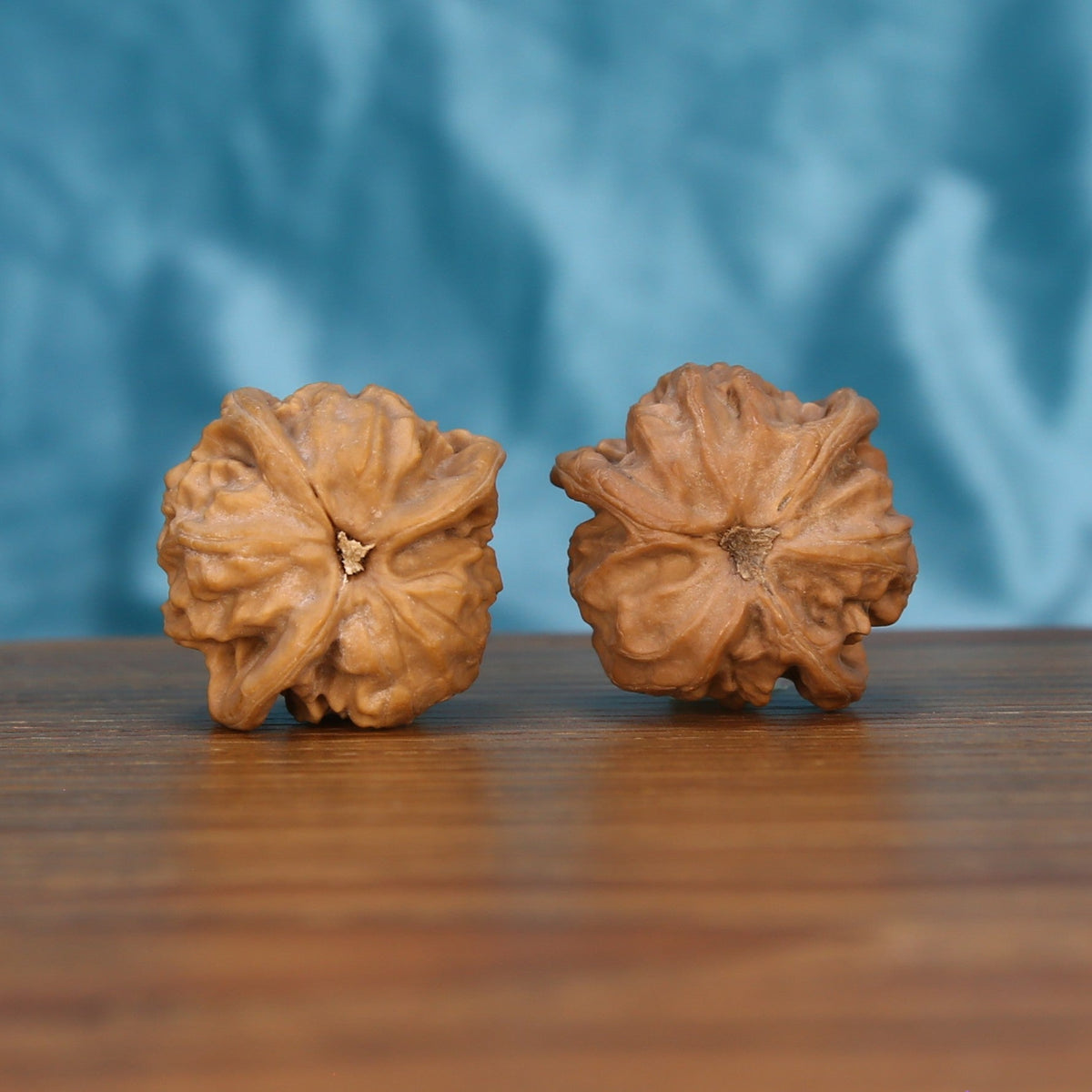 Qi-Da-Hai San-Leng walnut pair bottom view on wood – natural tri-fold labyrinth base pattern, premium set
