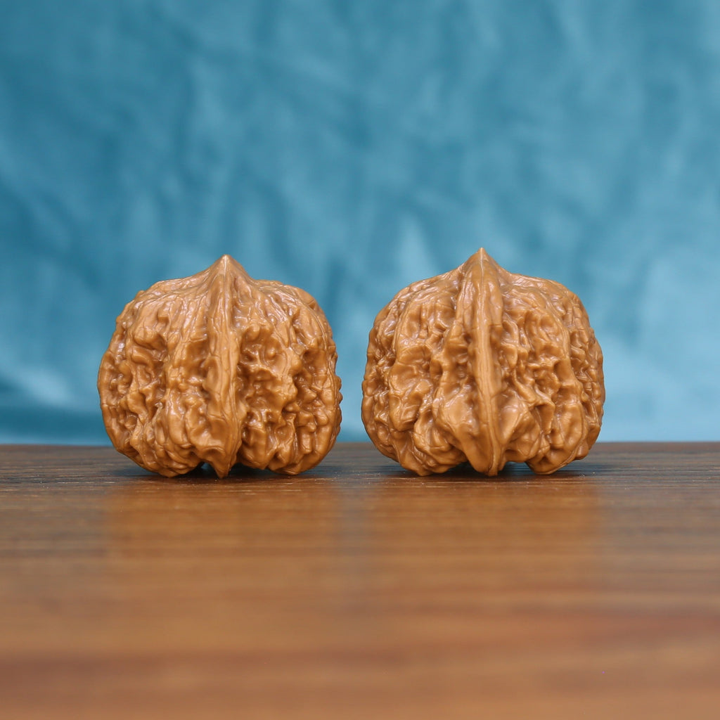 Three-quarter view of two Pinggu Concave Base Wenwan walnuts showing detailed natural ridges

