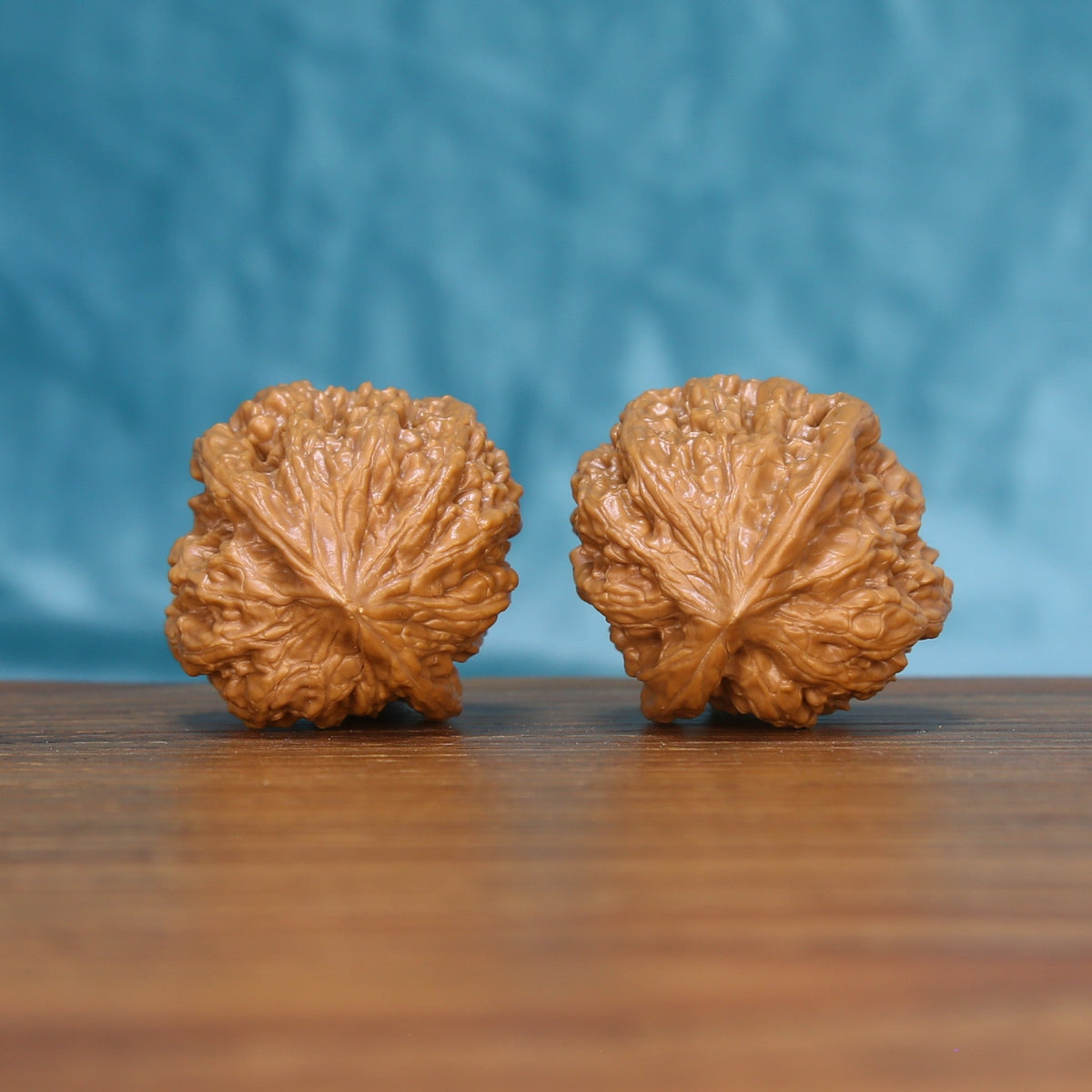 Back view of two Pinggu Concave Base Wenwan walnuts showing distinct natural shell patterns

