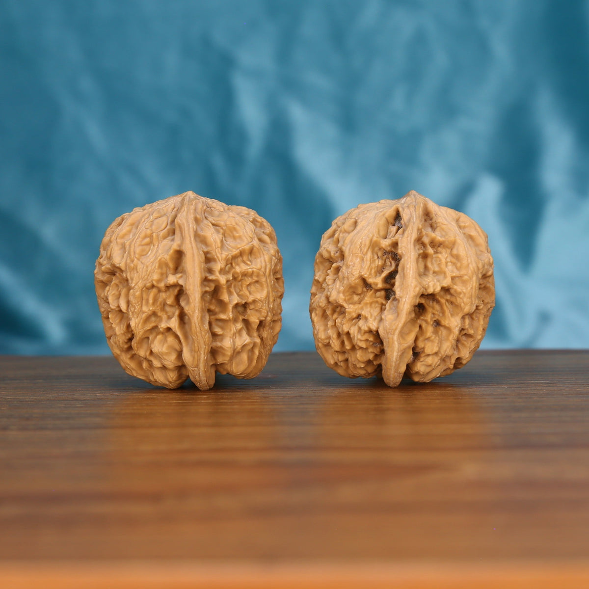 Single premium wenwan walnut close-up showing intricate natural ridge pattern, blue background

