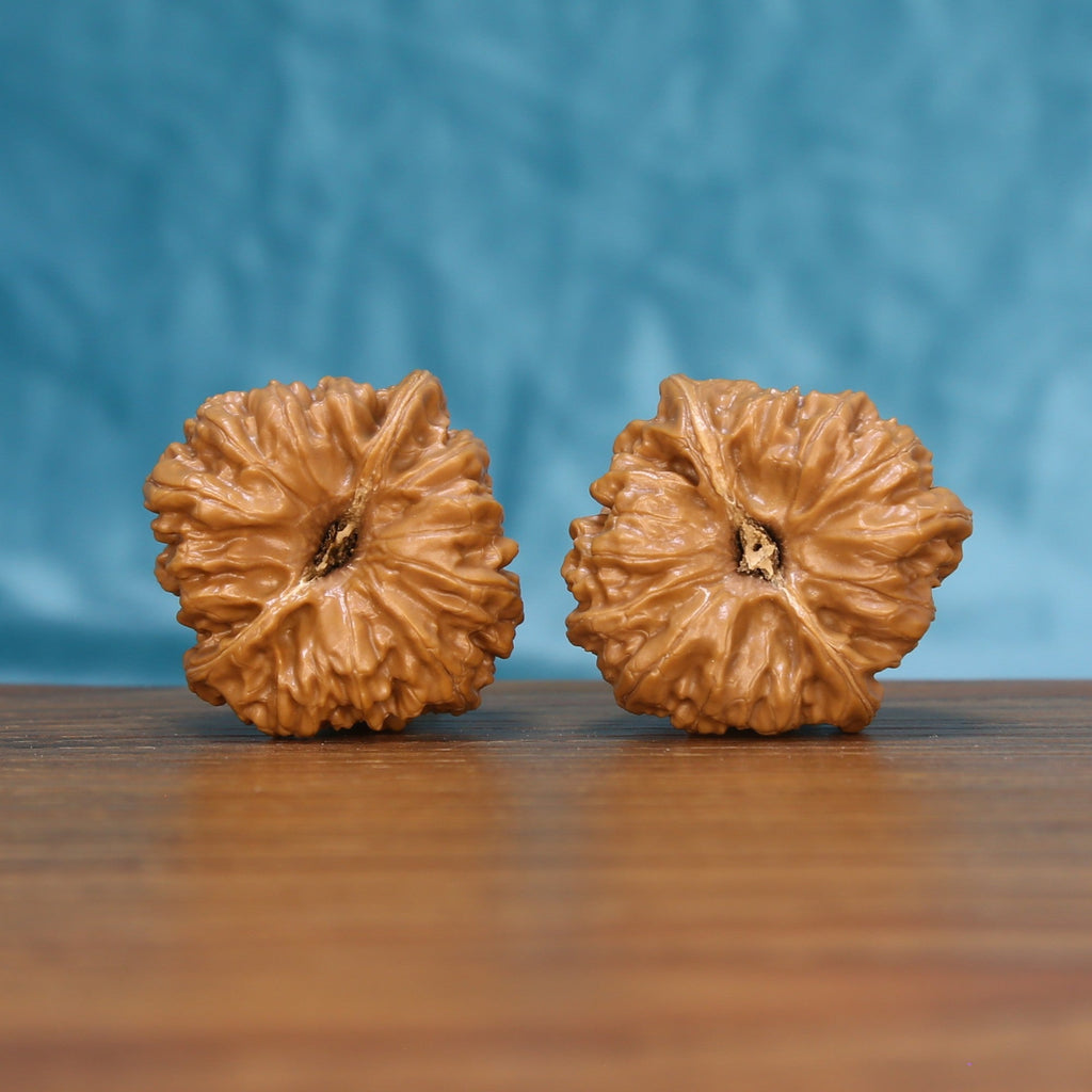 Bottom view of a matched Pinggu Concave Base Wenwan walnut pair showing recessed natural base details
