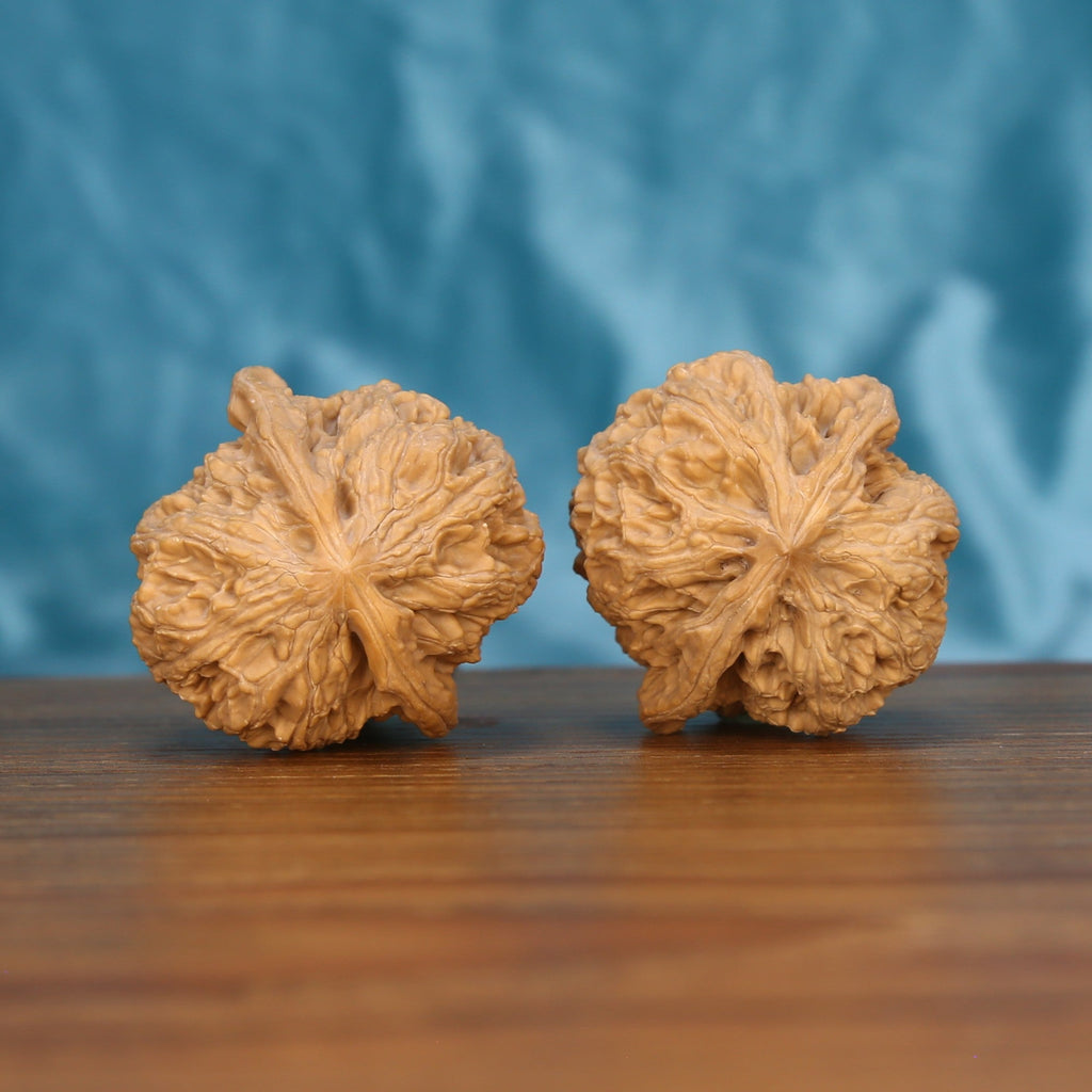Top-down view of two wenwan walnuts on wooden surface, natural symmetrical texture

