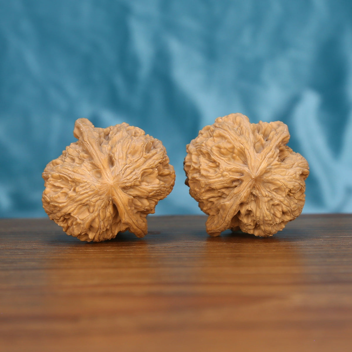 Top-down view of two wenwan walnuts on wooden surface, natural symmetrical texture

