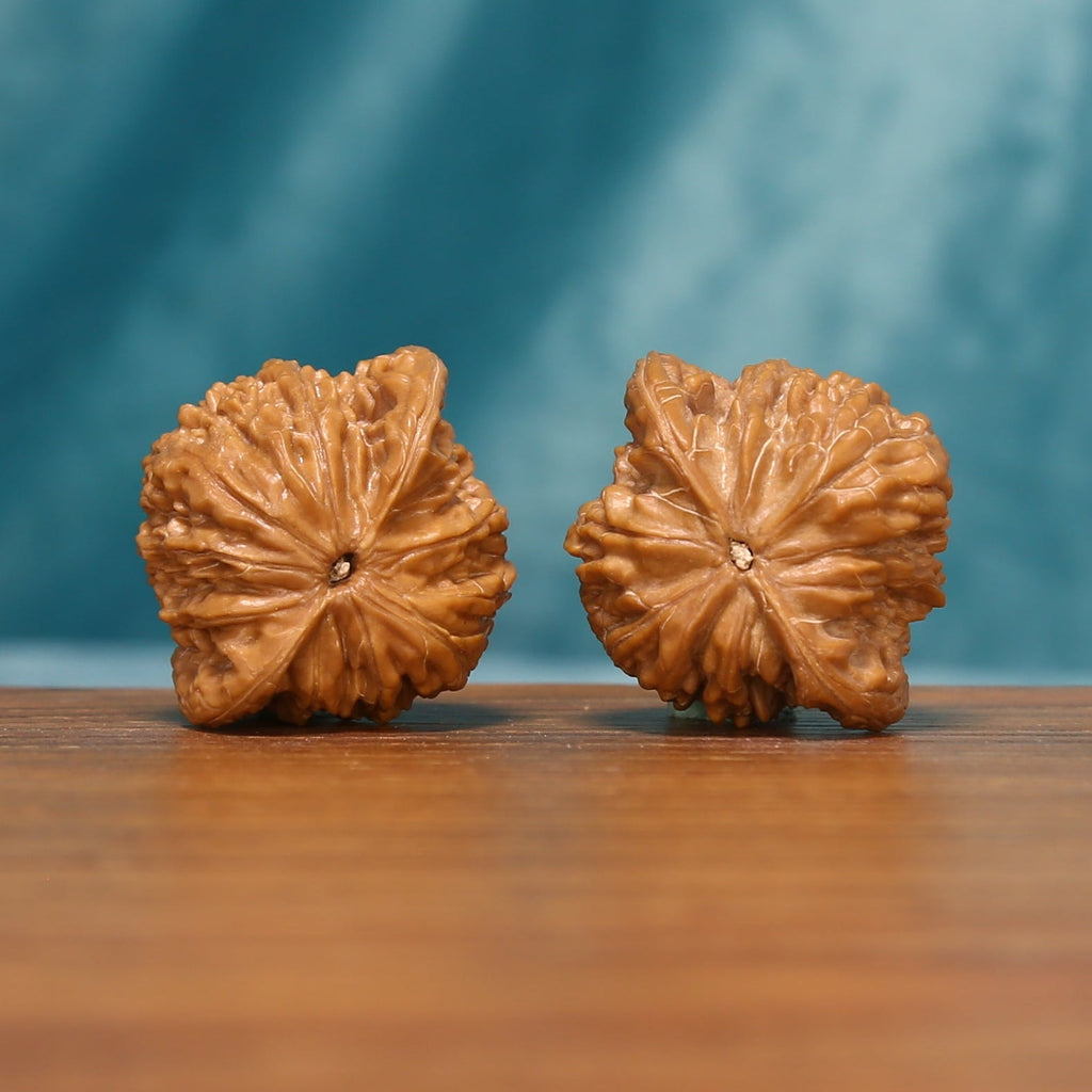 Bottom view of the Twin Millstones Wenwan walnut pair showing the star-like natural contours
