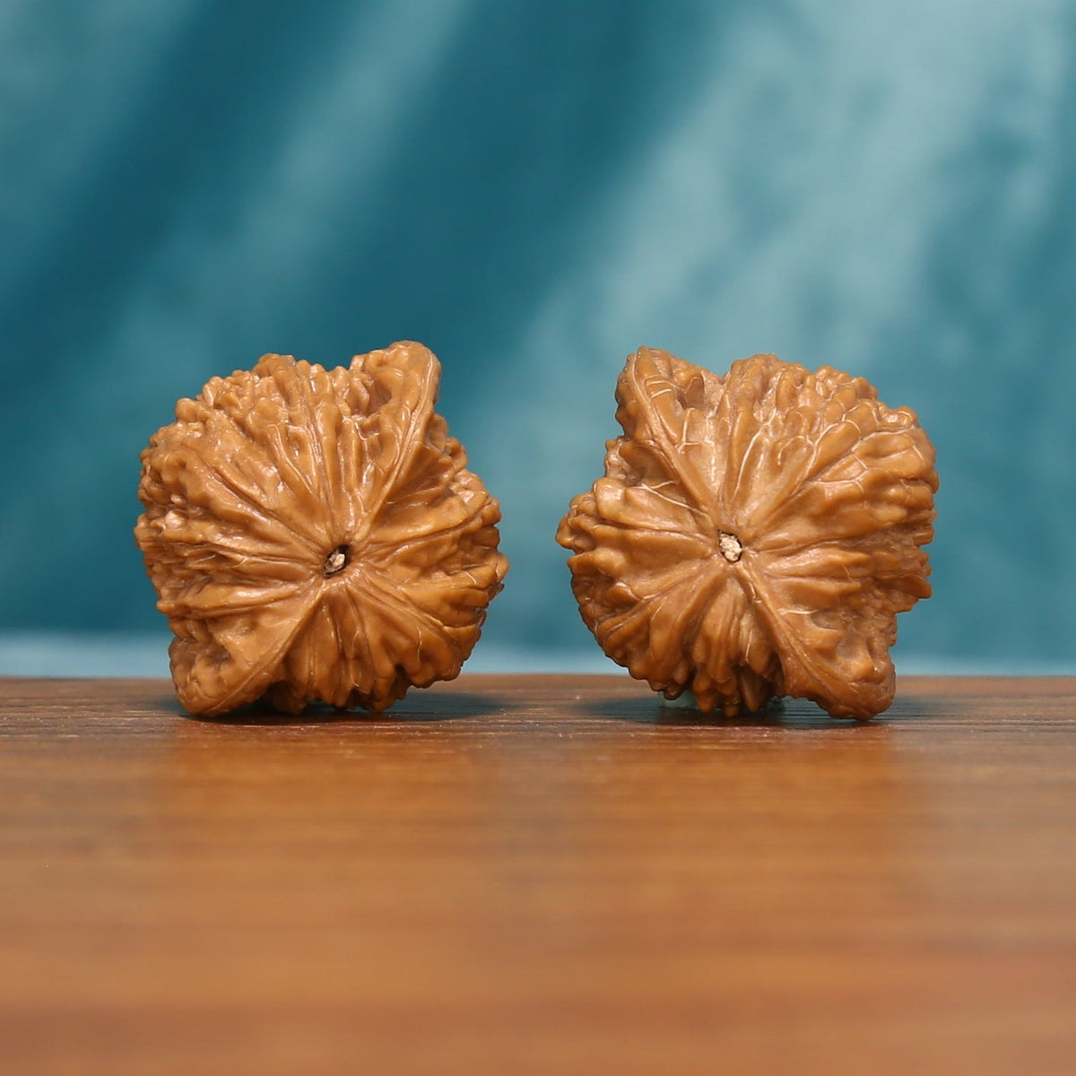 Bottom view of the Twin Millstones Wenwan walnut pair showing the star-like natural contours
