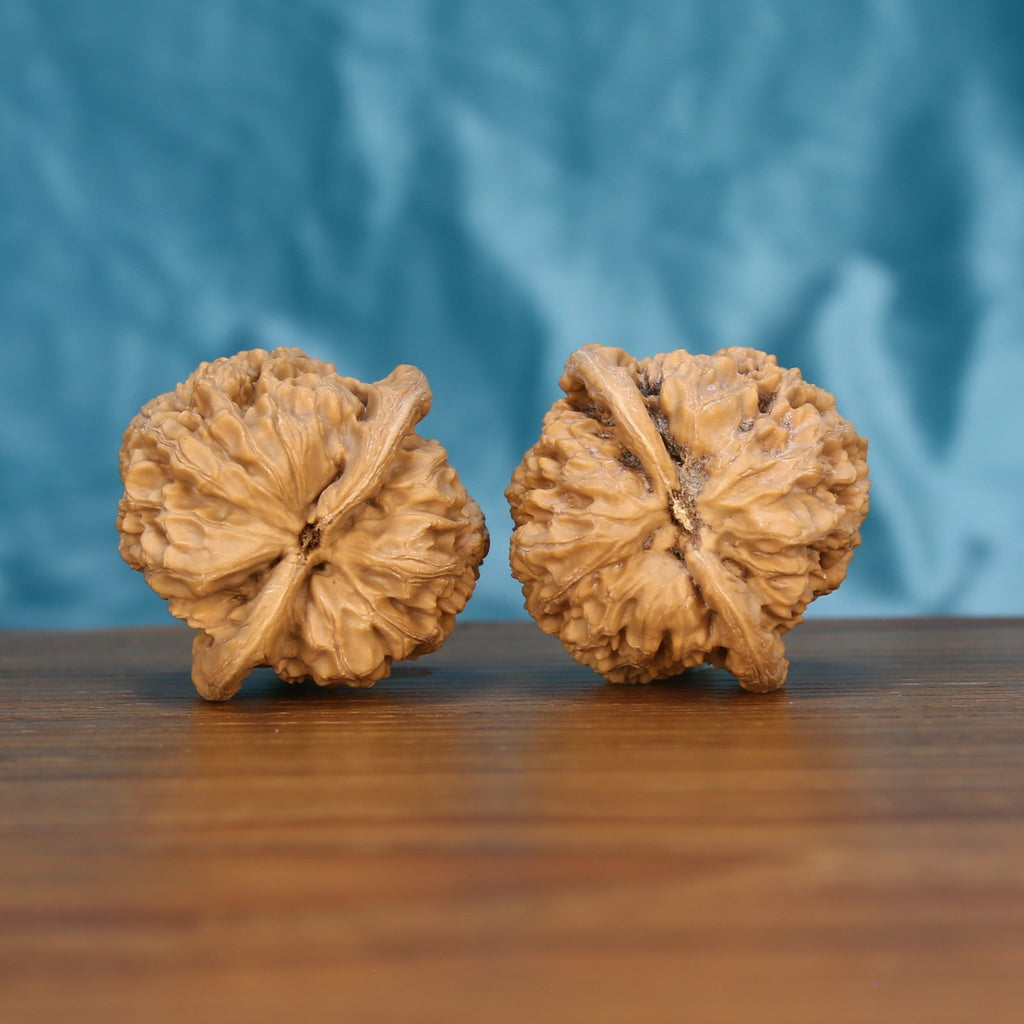 Wenwan walnut pair showing reverse side detail on wood surface – natural craftsmanship

