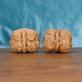 The Majestic Meridian | Yi-Dao-Jin Wenwan Walnuts 7571 Matched pair of Yi-Dao-Jin Wenwan walnuts with single-ridge pattern