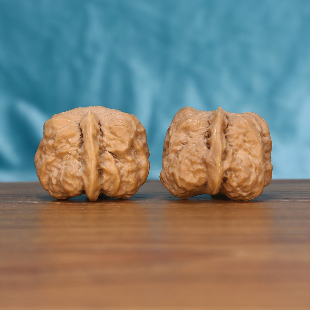 The Majestic Meridian | Yi-Dao-Jin Wenwan Walnuts 7571