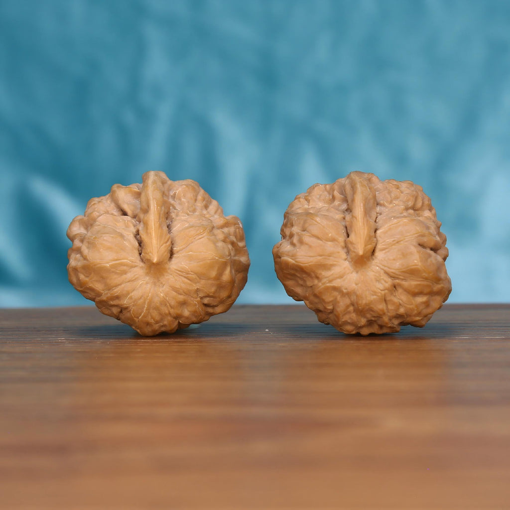 The Majestic Meridian | Yi-Dao-Jin Wenwan Walnuts 7571