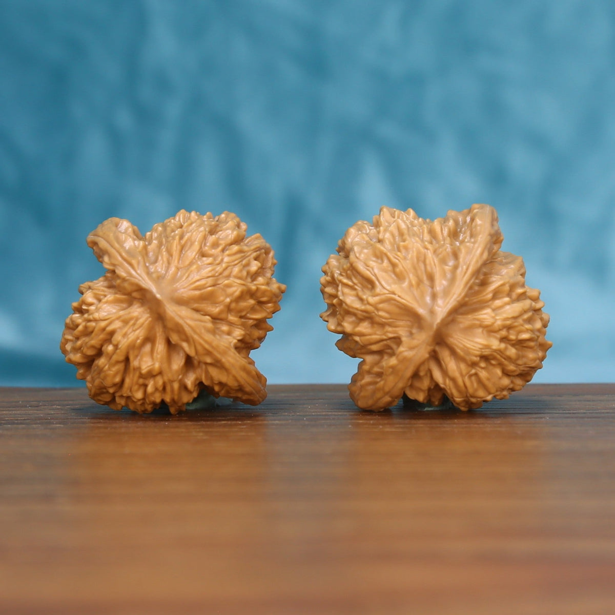 Back view of two Coiling Dragon Wenwan walnuts showing distinct natural shell patterns
