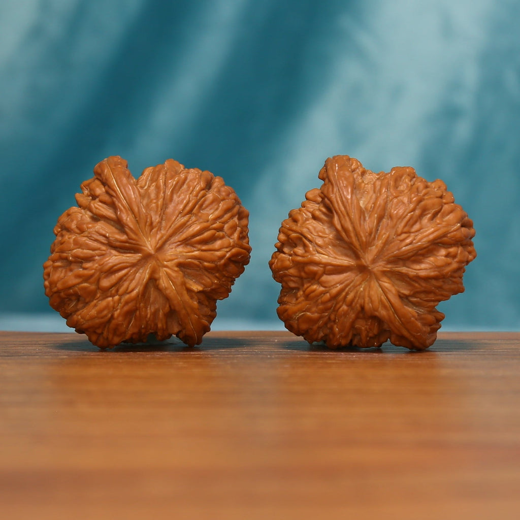 Millstone Wenwan walnut pair shown from the rear with symmetrical carved patterns
