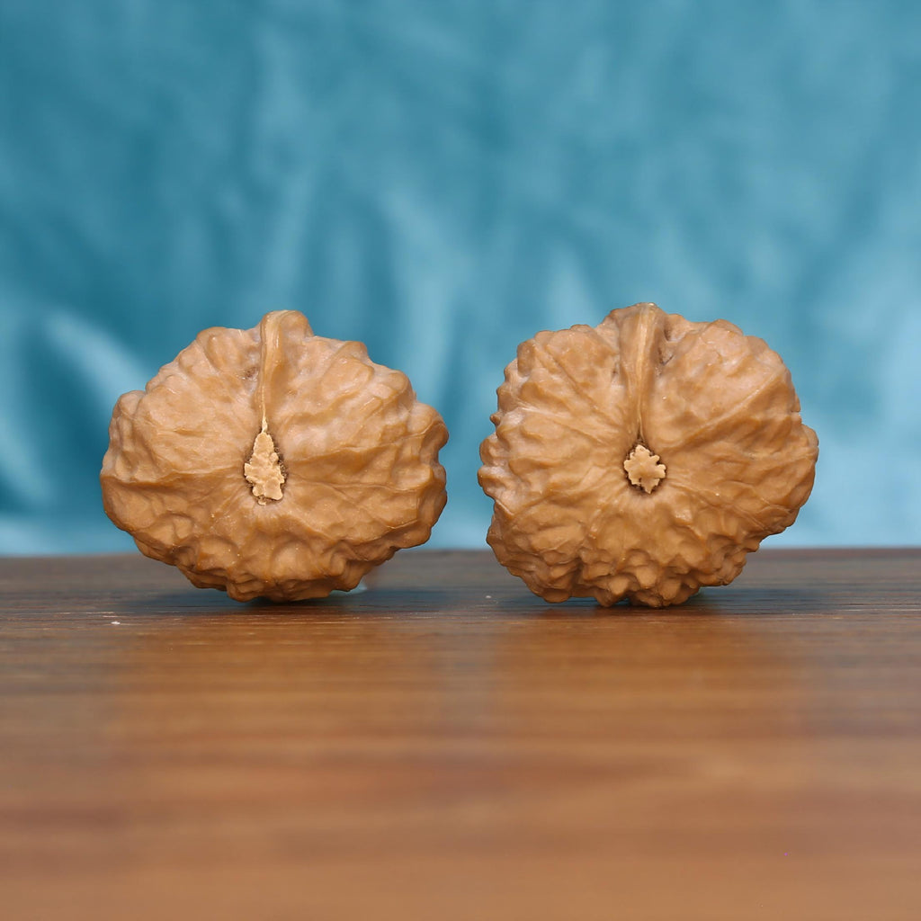 The Majestic Meridian | Yi-Dao-Jin Wenwan Walnuts 7571