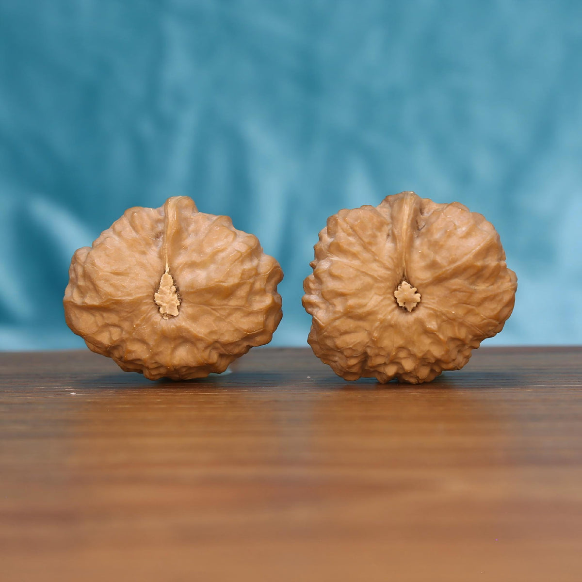 The Majestic Meridian | Yi-Dao-Jin Wenwan Walnuts 7571