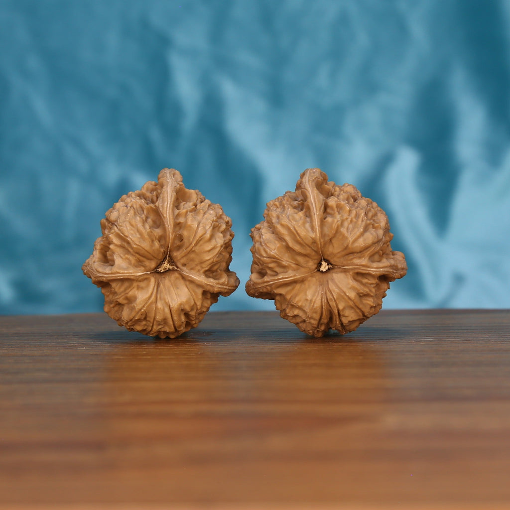 Duo-Leng Yuan-Bao walnut pair bottom view on wood – natural multi-ridge ingot base pattern, Sculpted Ingots premium set