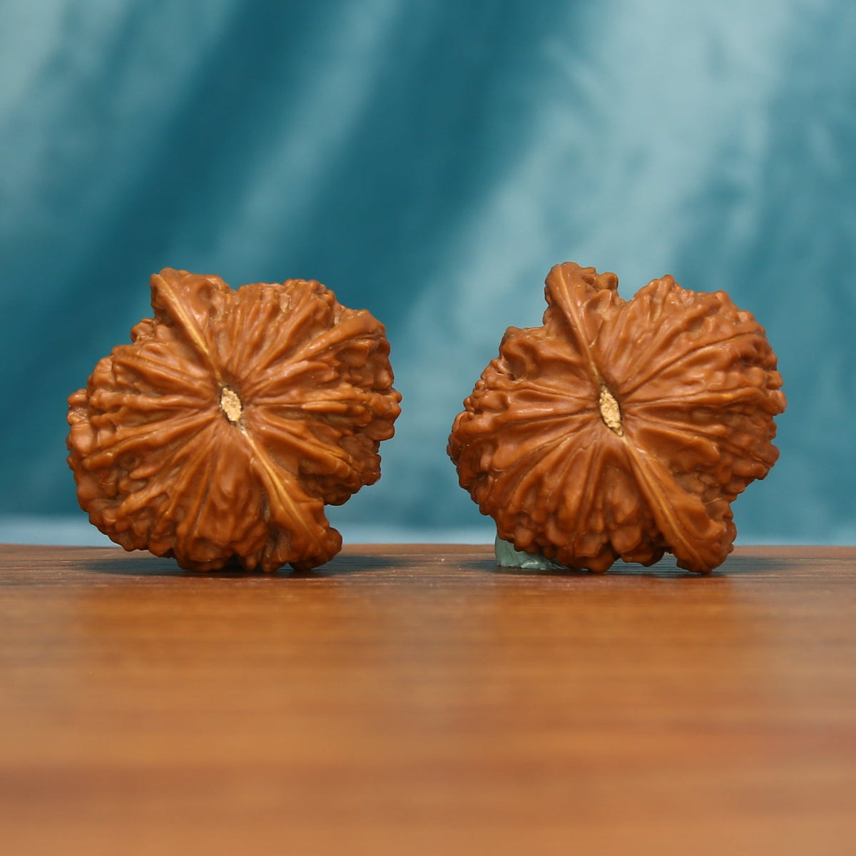 Bottom view of the Millstone Wenwan walnut pair showing the star-like carved contours
