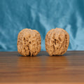 Two Xi-Bei Jiang-Jun-Bang wenwan walnuts on wooden surface, blue fabric background – matching frontier crest set