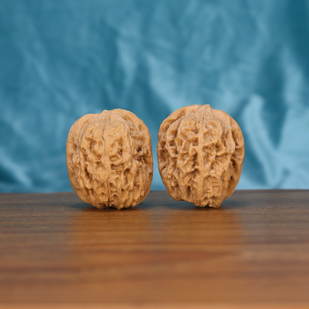 Xi-Bei Jiang-Jun-Bang walnut set side profile on wood, blue background – elongated general's club grain detail