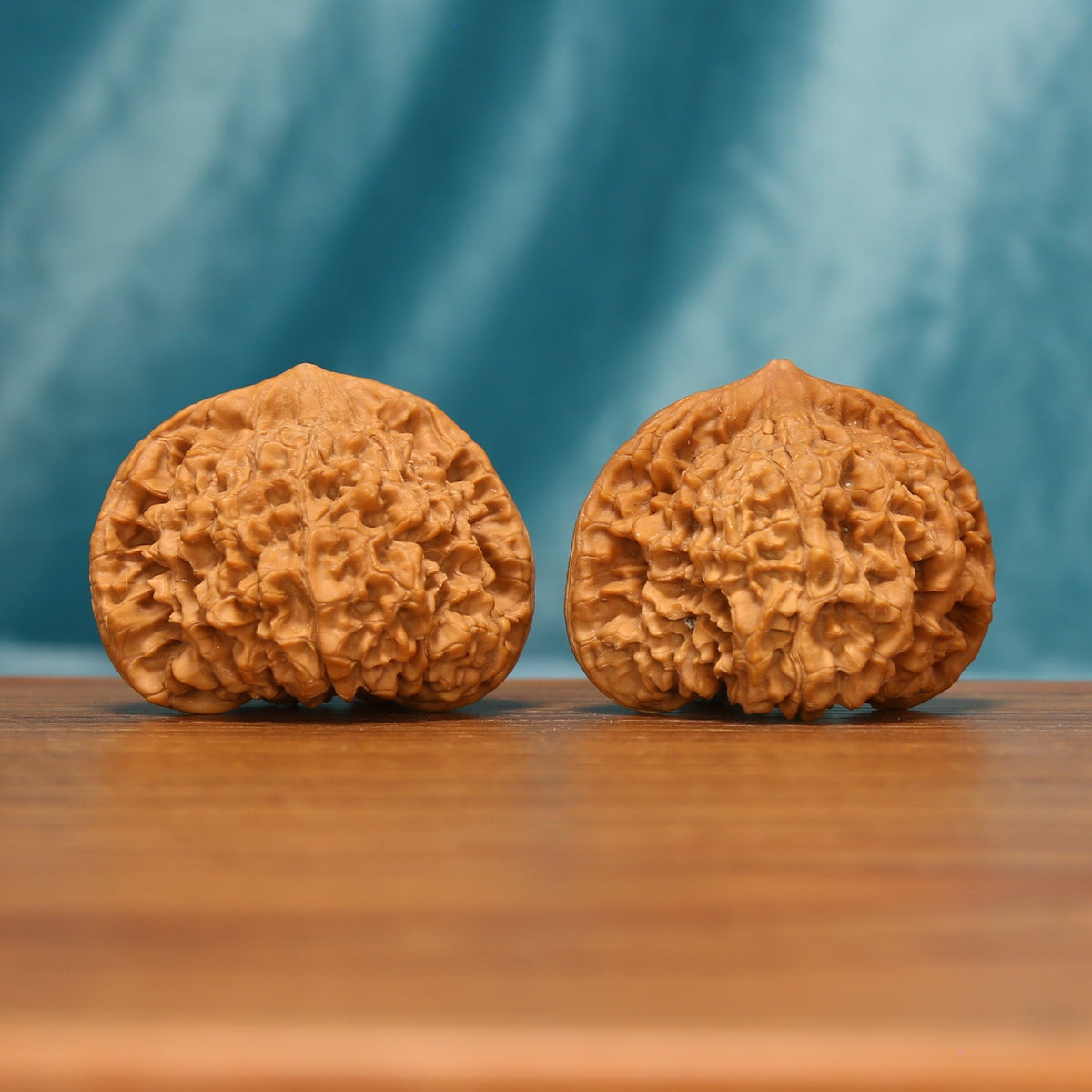 Angled front view of The Scholar's Crown Wenwan walnuts highlighting their substantial forms and intricate natural texture.
