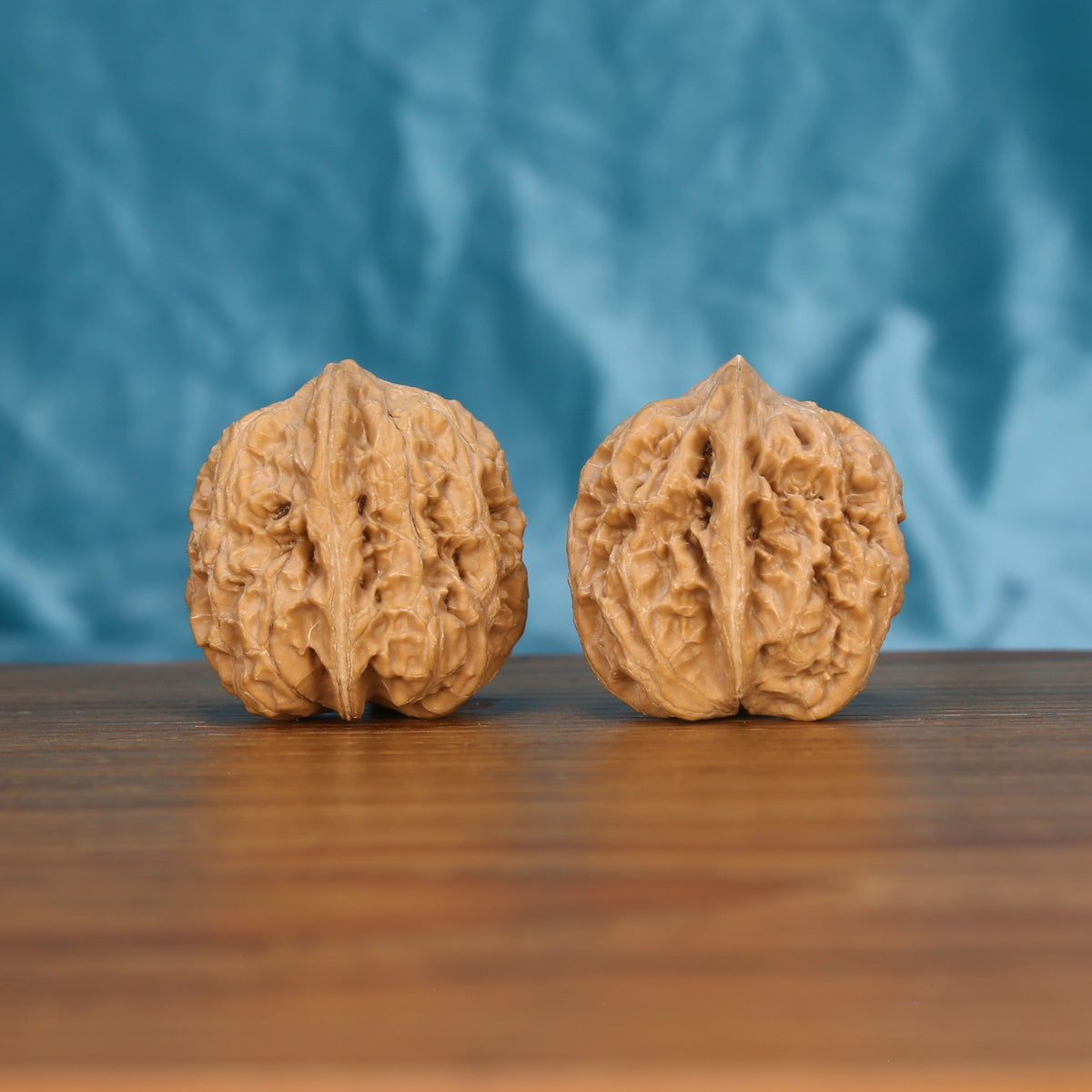 Single Xi-Bei Jiang-Jun-Bang wenwan walnut on wooden surface, blue background – bold natural ridge texture close-up