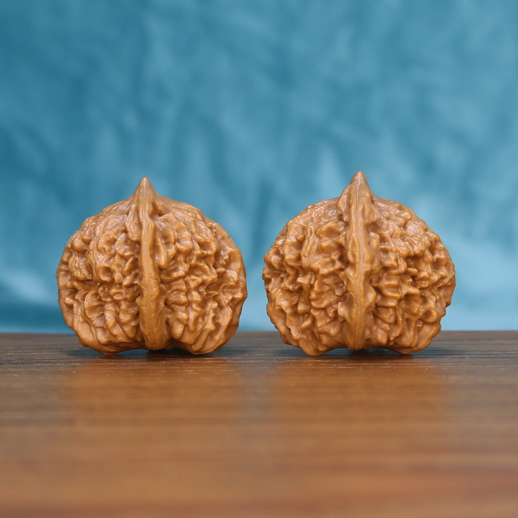 Qinhuangdao Ingot wenwan walnut set at a slight angle, highlighting the broad belly and even height
