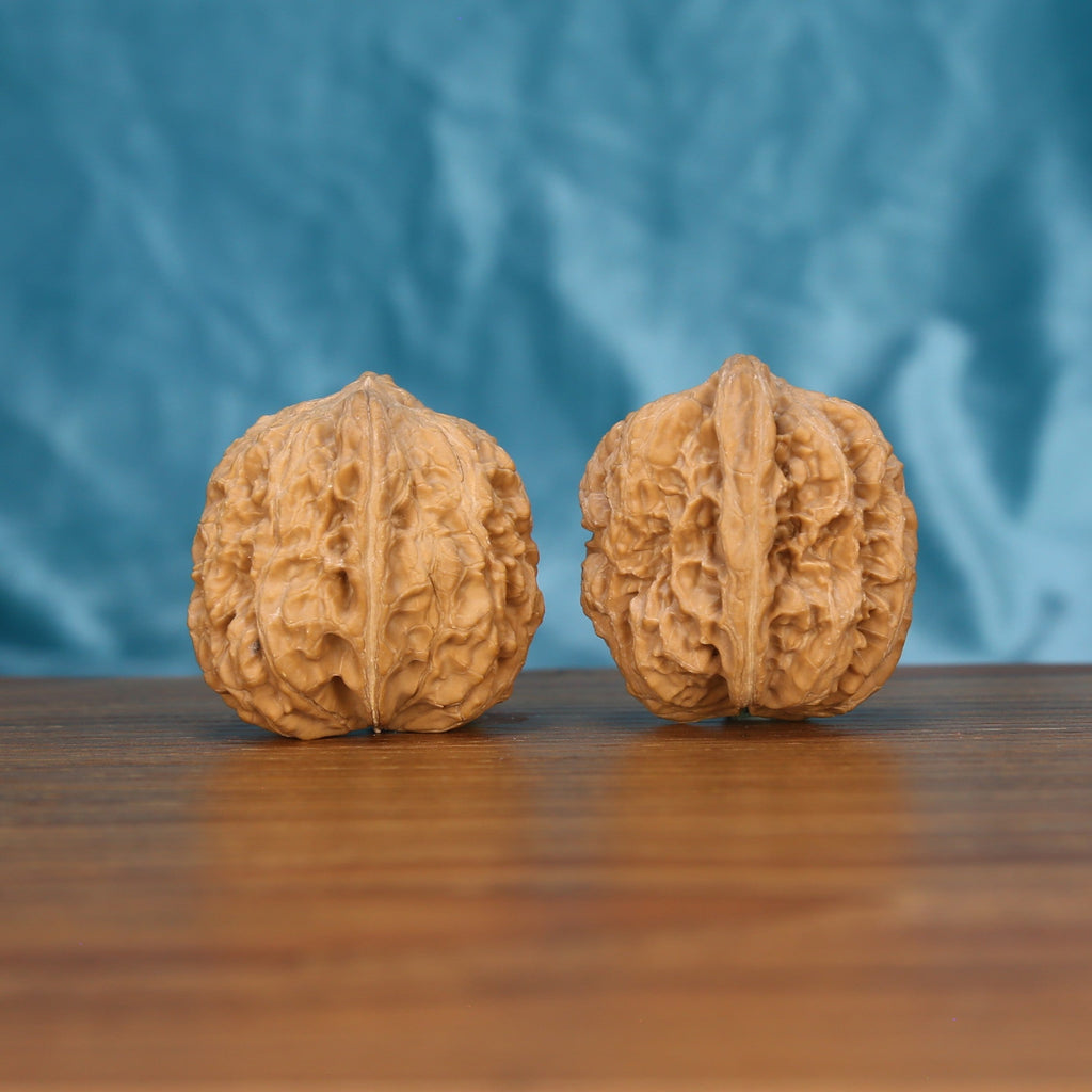 Xi-Bei Jiang-Jun-Bang wenwan walnut pair alternate angle, blue background – symmetrical frontier crest pattern