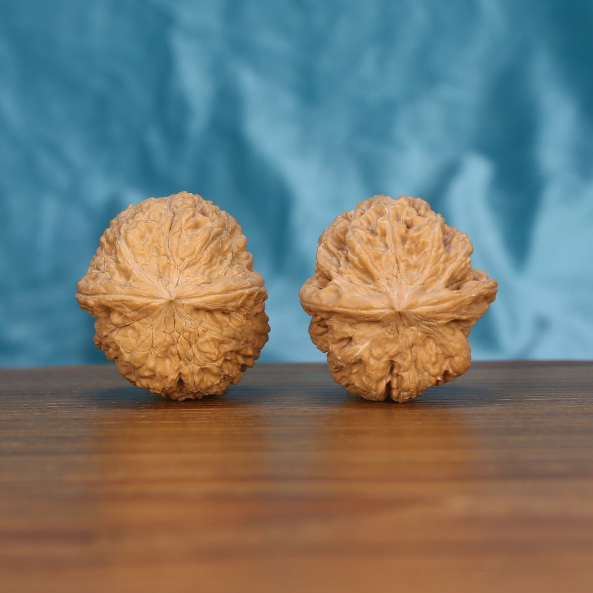 Single Xi-Bei Jiang-Jun-Bang wenwan walnut bottom view on wooden surface – natural base and ridge texture detail