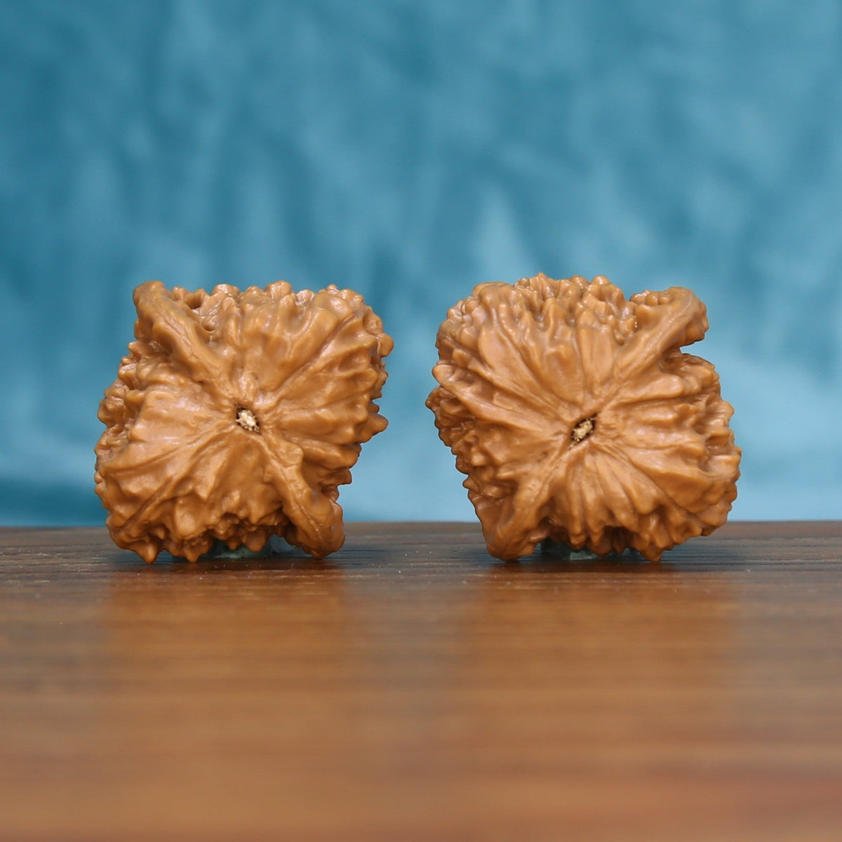 Top view of the Qinhuangdao Ingot wenwan walnut pair 6099, showing the star-shaped ridged crown of each walnut
