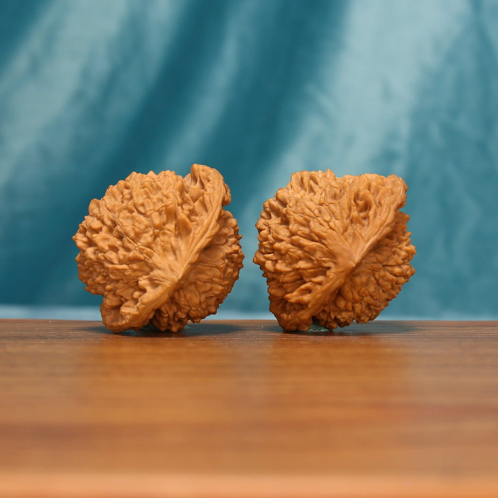 Rear view of The Scholar's Crown Wenwan Walnut Set displaying the walnuts’ rounded forms and crown-like texture.
