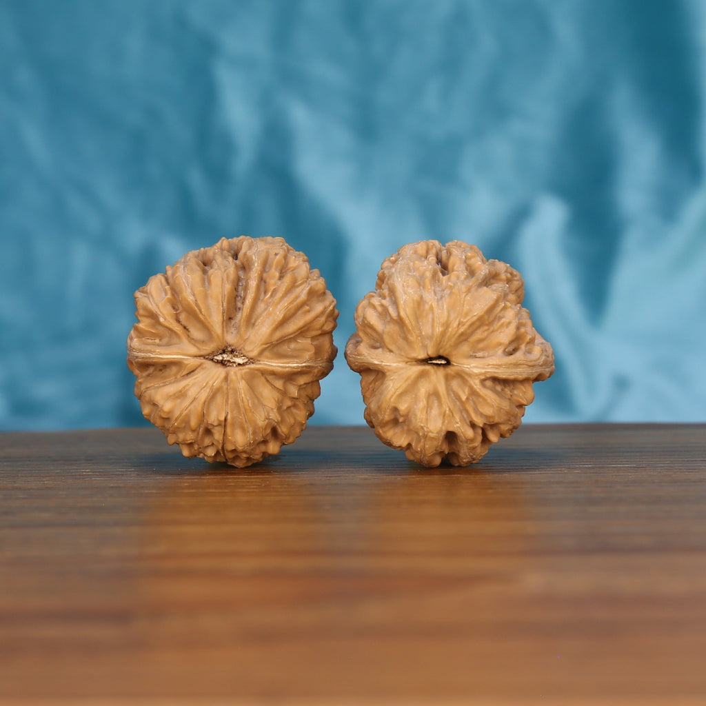 Xi-Bei Jiang-Jun-Bang walnut pair bottom view on wood – natural general's club base pattern, Frontier Crest premium set