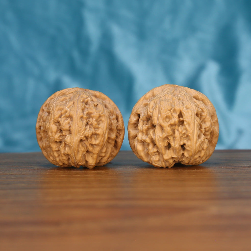 Two Da-Cu-Jin wenwan walnuts on wooden surface, blue fabric background – matching earthborn monoliths set