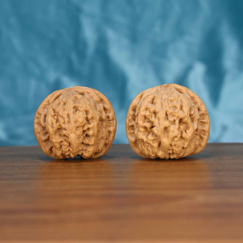 Da-Cu-Jin walnut set side profile on wood, blue background – rugged monolith grain detail