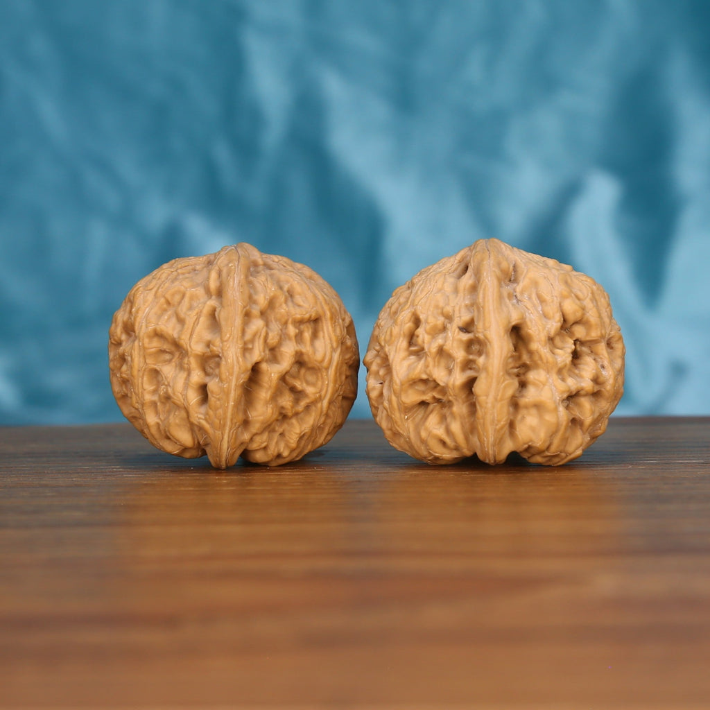 Single Da-Cu-Jin wenwan walnut on wooden surface, blue background – bold rough-gold natural texture close-up