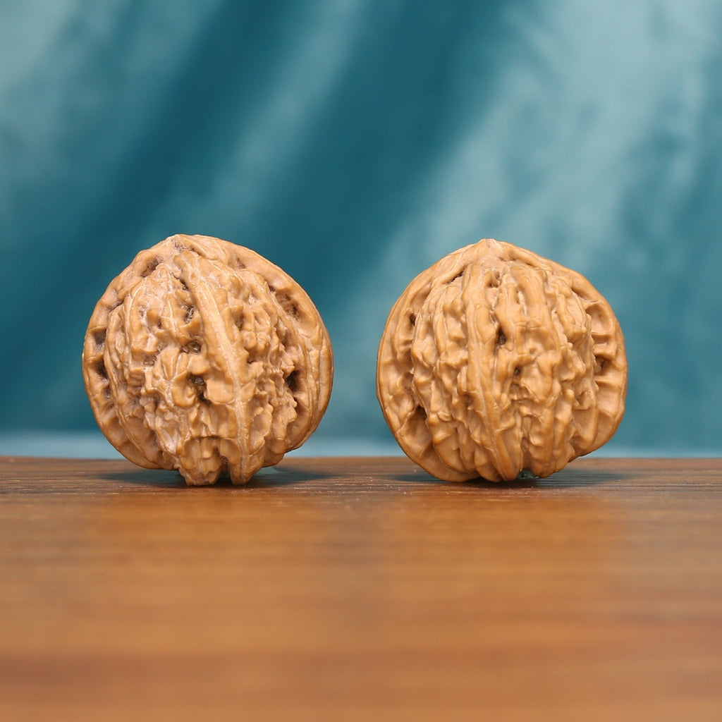 Front view of The Ivory Roar Wenwan Walnut Set showing two light-colored lion head walnuts with prominent natural ridges.
