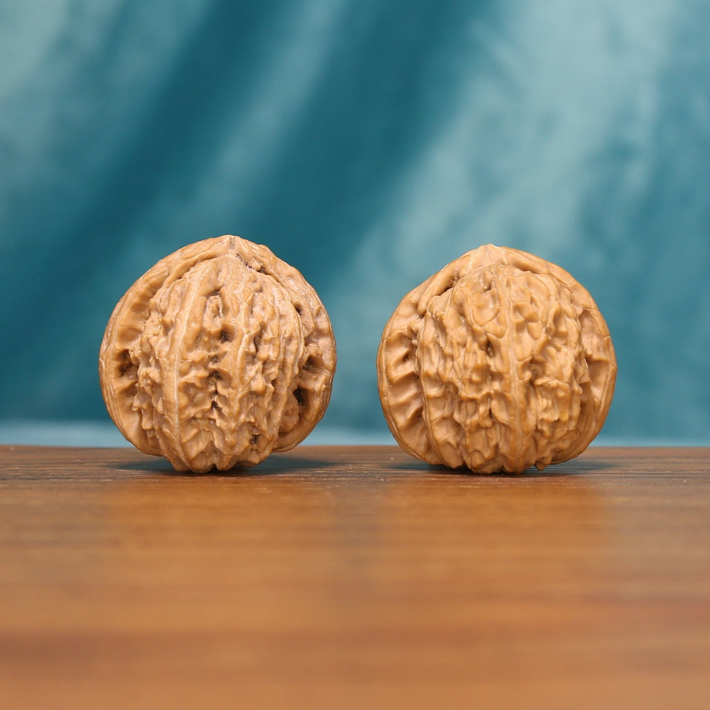 Angled front view of The Ivory Roar Wenwan walnuts highlighting their rounded forms and warm ivory-brown color.
